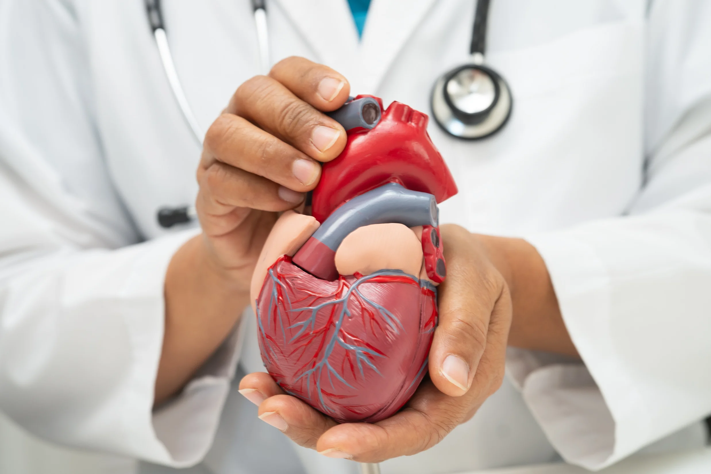 Heart Healling Your Heart Health Journey: From Early Detection to Cardiac Treatment ...