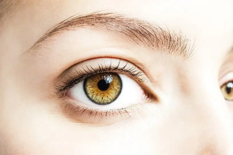 Zoomed in eye