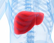 Thumbnail-Liver disese should not be underestimated