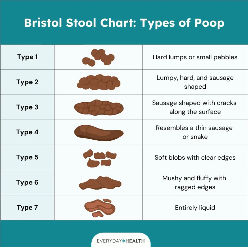 A formal illustration of the Bristol stool chart
