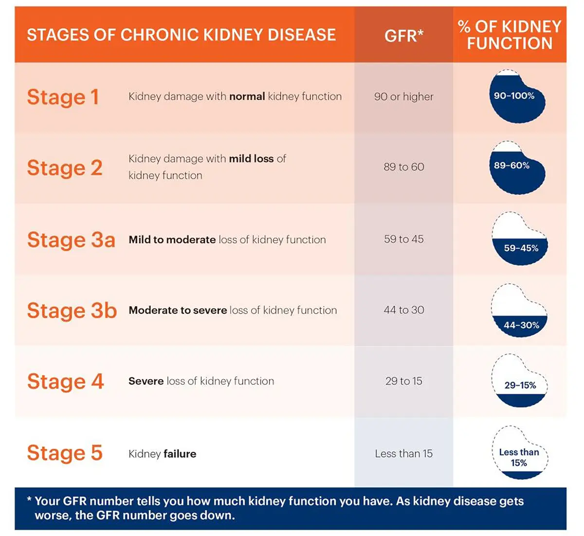 Kidney Health & You 1